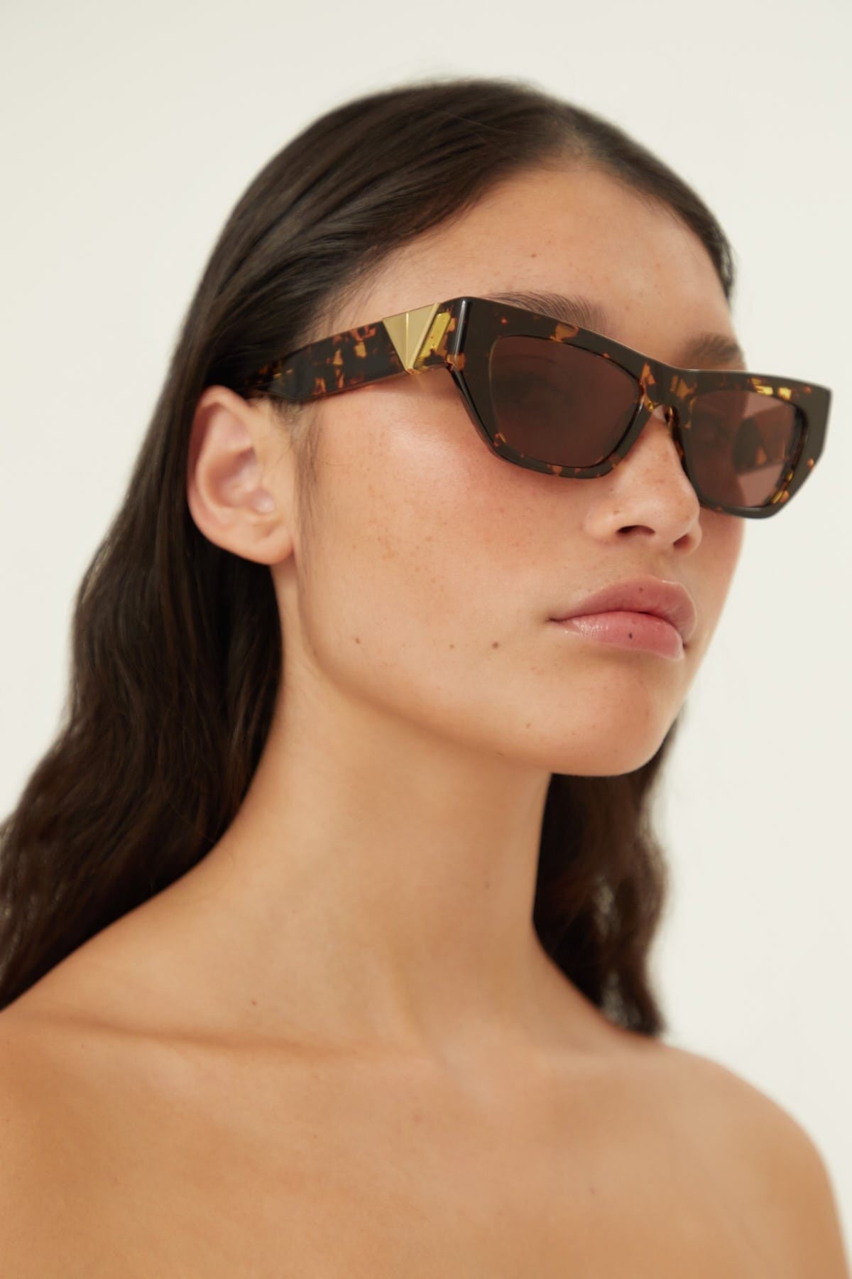 Bottega Veneta havana cat eye sunglasses